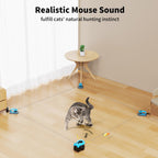 Interactive Cat Toy for Indoor Cats, Auto/Manual Feather Mouse Treadmill