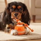 Interactive Smart Dog Ball with Automatic Movement