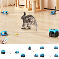 Interactive Cat Toy for Indoor Cats, Auto/Manual Feather Mouse Treadmill