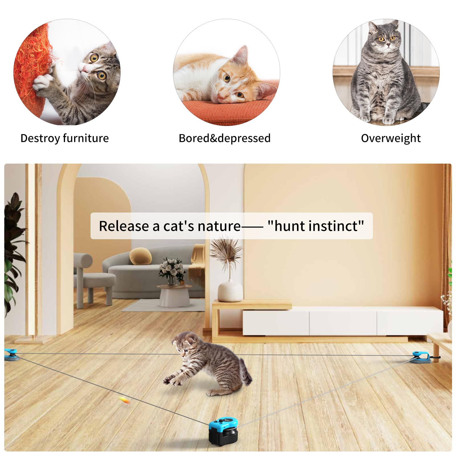 Interactive Cat Toy for Indoor Cats, Auto/Manual Feather Mouse Treadmill