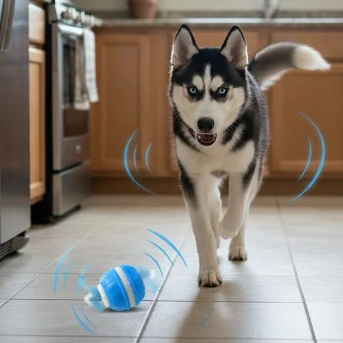 Interactive Smart Dog Ball with Automatic Movement