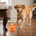 Interactive Smart Dog Ball with Automatic Movement