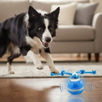 Interactive Smart Dog Ball with Automatic Movement
