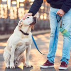 Walk & Clean 2-in-1 Dog Poop Scooper with Waste Bag Dispenser, Portable