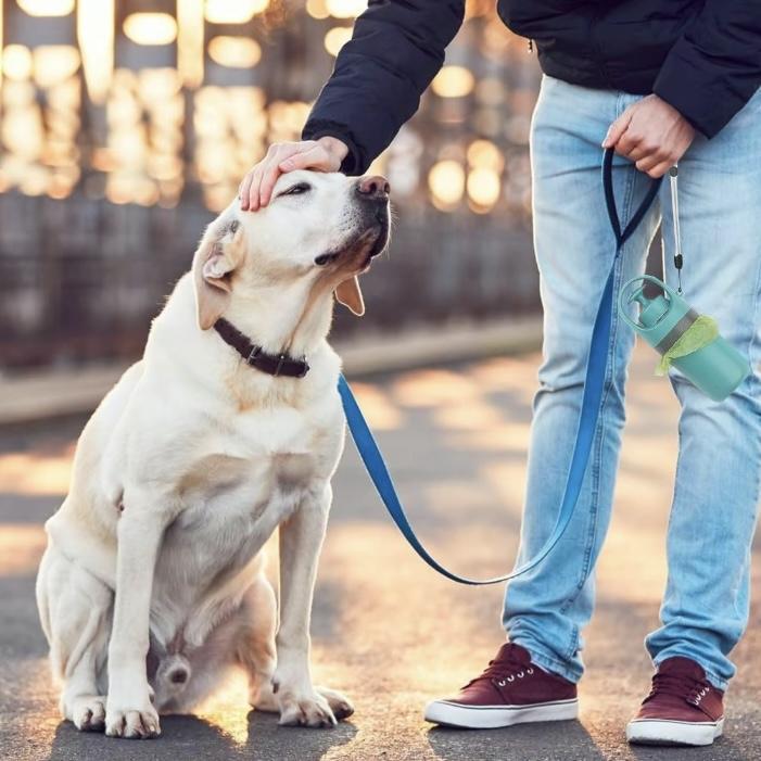 Walk & Clean 2-in-1 Dog Poop Scooper with Waste Bag Dispenser, Portable